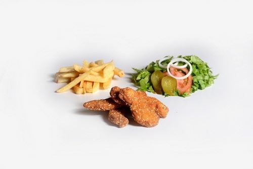 שניצלונים