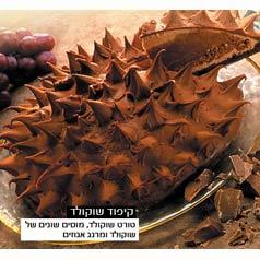 קיפוד שוקולד (גדול)