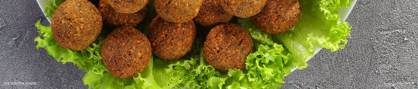 מאכלי המלכים כרמיאל בכרמיאל